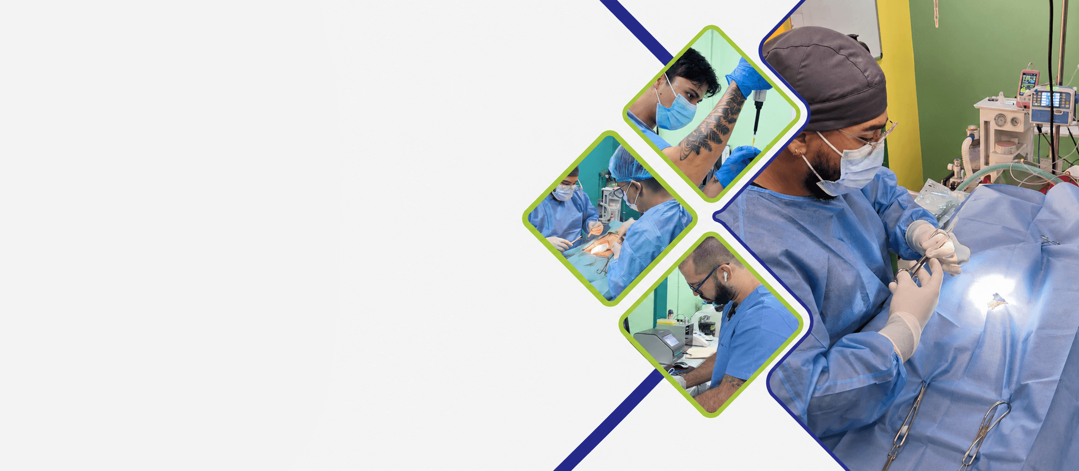 Equipo médico realizando una cirugía veterinaria